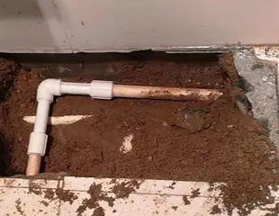 密云测漏水哪家好