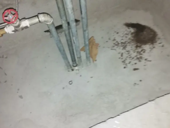 密云卫生间测漏水价格明细